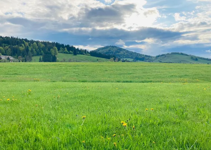 Ferienhaus Geiger In Bernau Im Schwarzwald